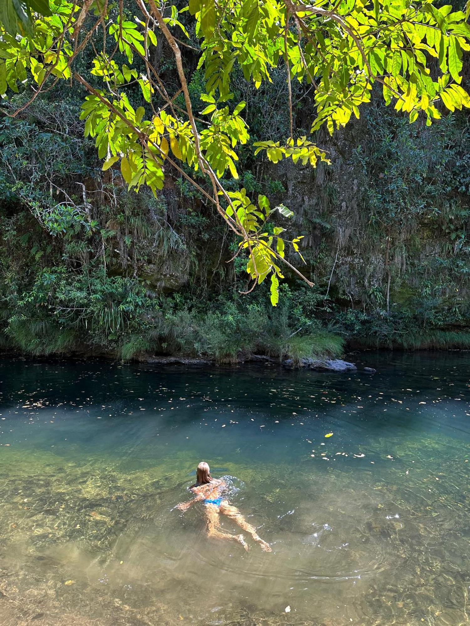 Vila Floresta - Chale Pato Mergulhao Alto Paraíso de Goiás Extérieur photo
