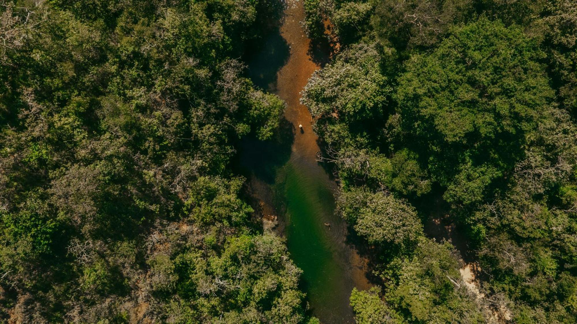 Vila Floresta - Chale Pato Mergulhao Alto Paraíso de Goiás Extérieur photo